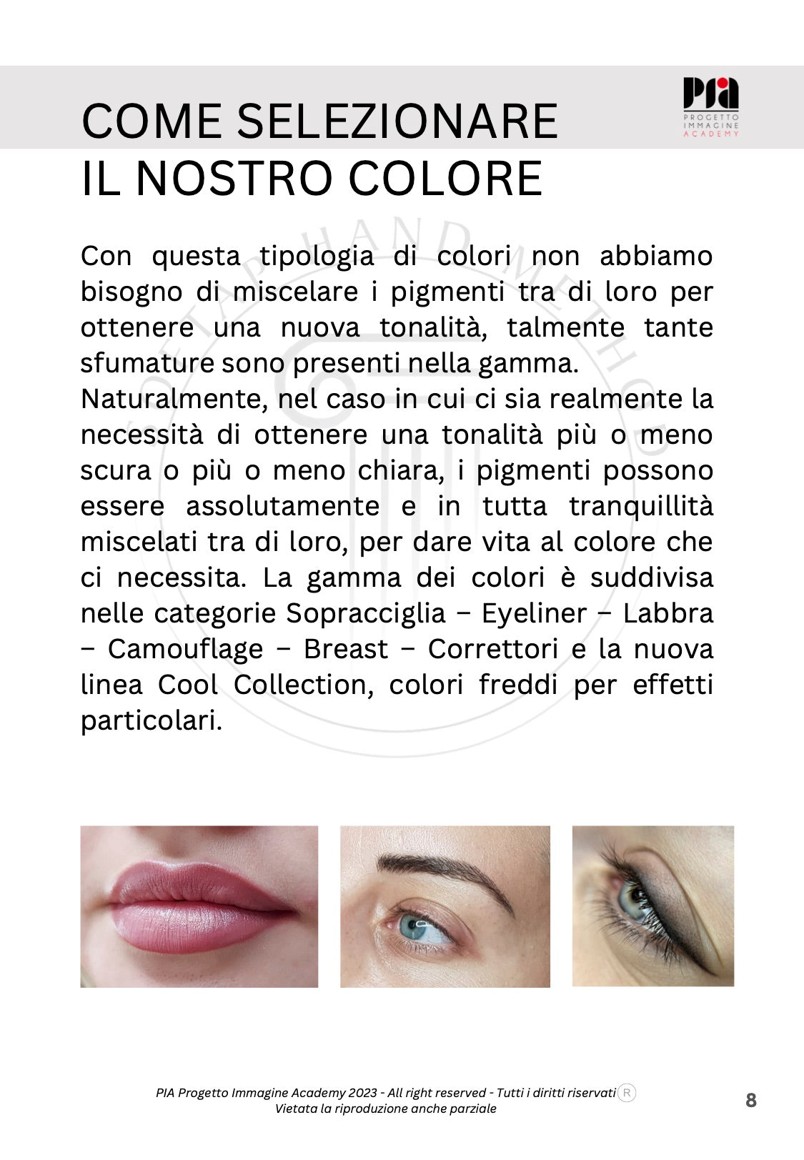 GUIDA ALL'UTILIZZO DEI PIGMENTI SOFTAP