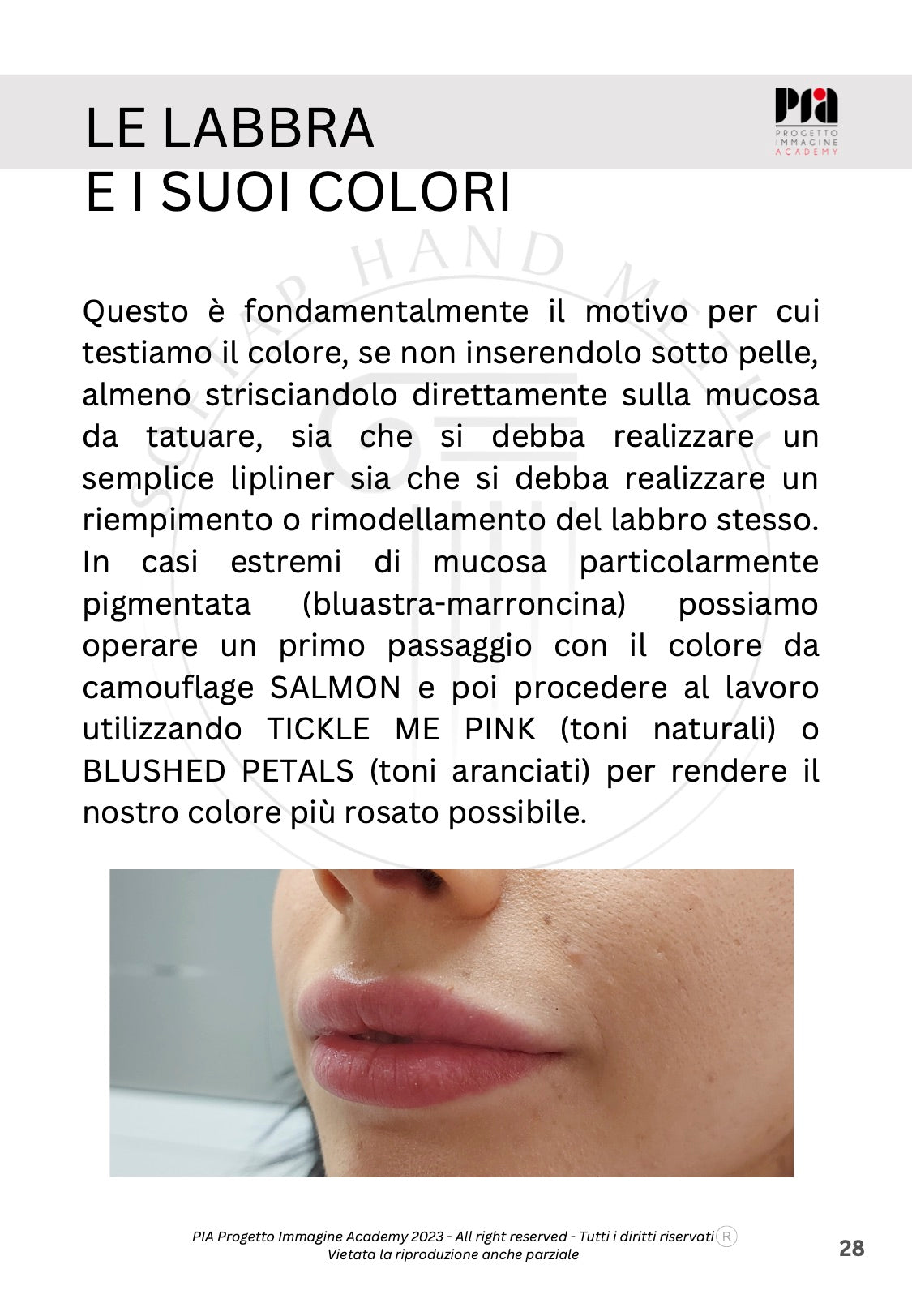 GUIDA ALL'UTILIZZO DEI PIGMENTI SOFTAP