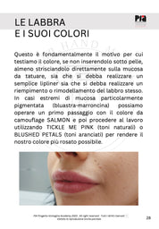 GUIDA ALL'UTILIZZO DEI PIGMENTI SOFTAP