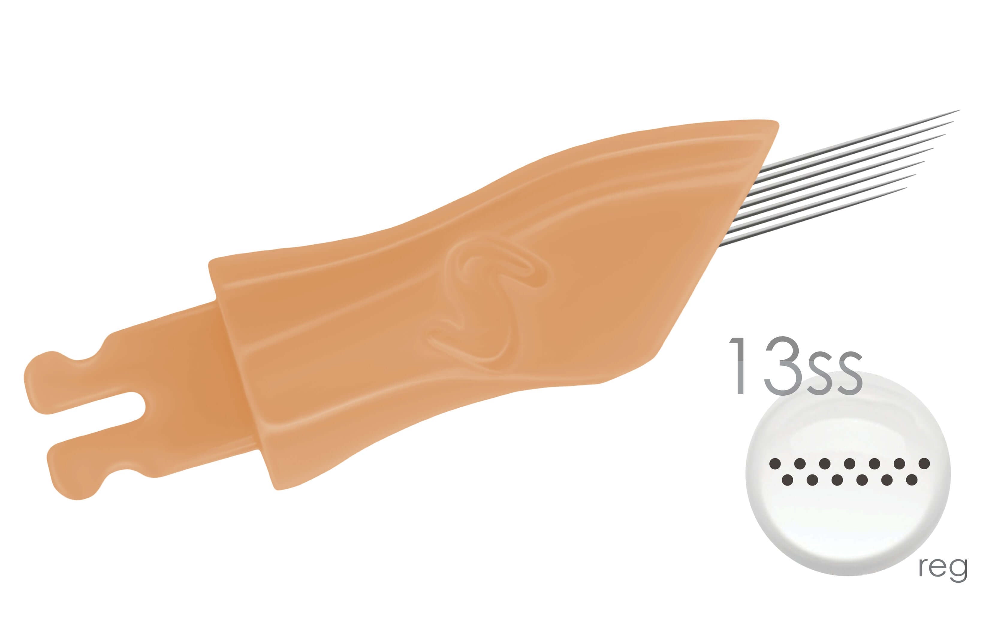 ct13SS-2020web.jpg